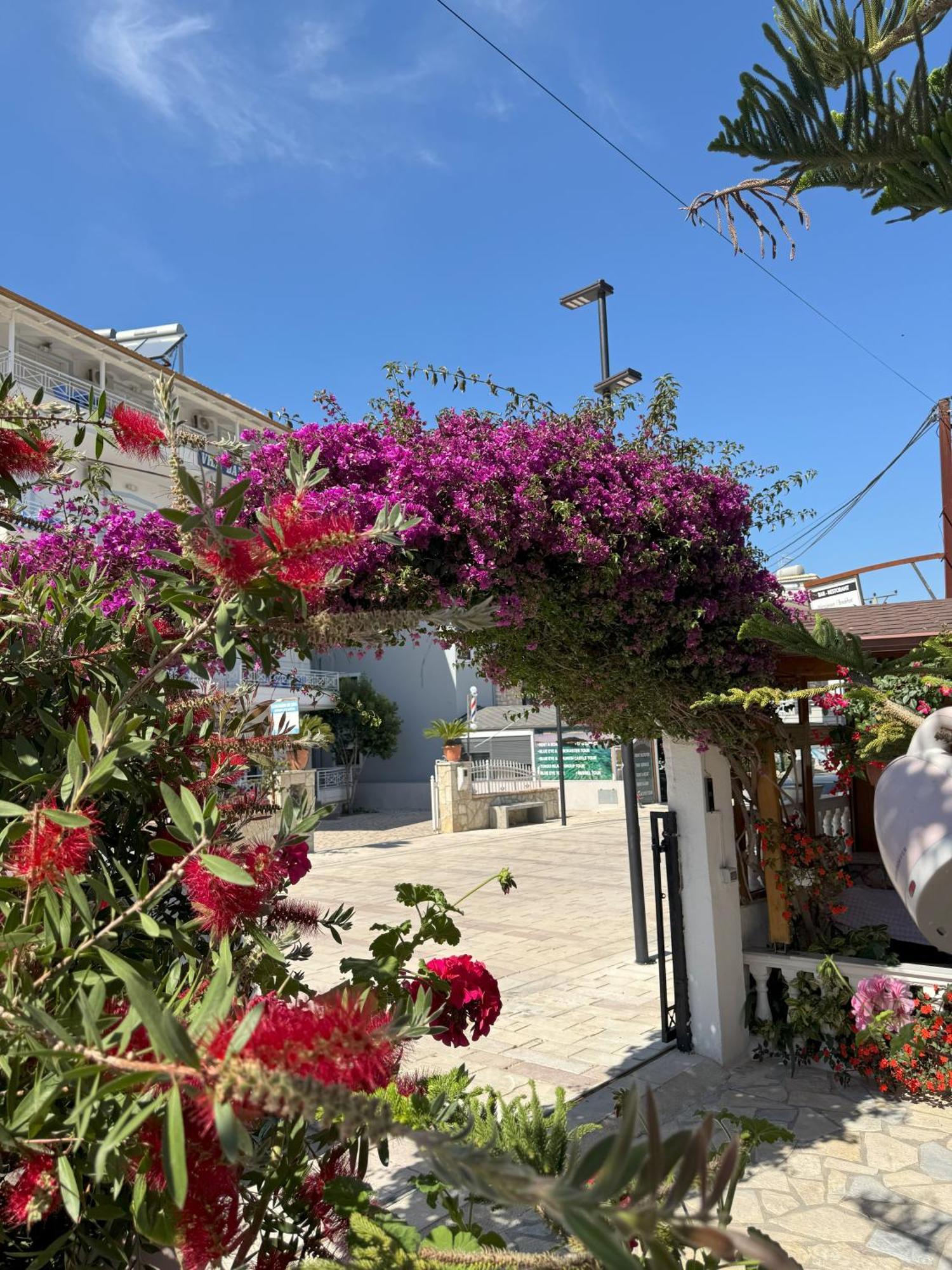 Appartement Garden Veli